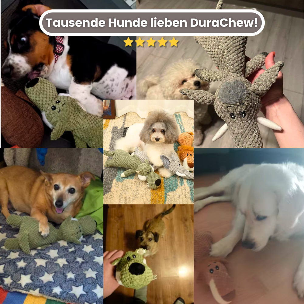 DuraChew - Entwickelt für starke Kauer